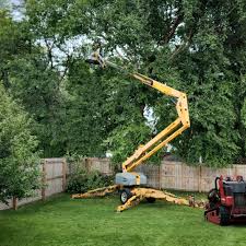 Best Tree Health Inspection  in Westminster, MD